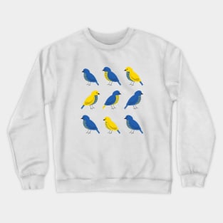 Little Birds of Peace | Ukrainian Flag color hand drawn heart, Peace for Ukraine Crewneck Sweatshirt